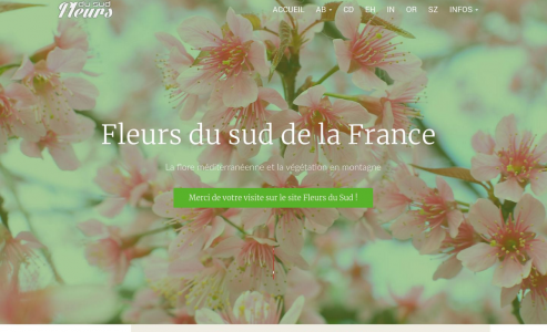 https://www.fleursdusud.fr